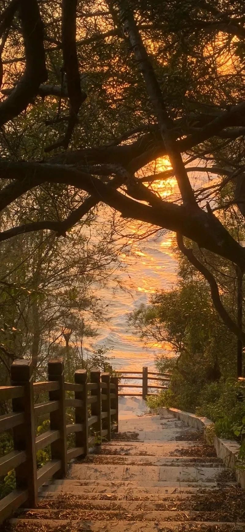 hinh-nen-hoang-hon (35)