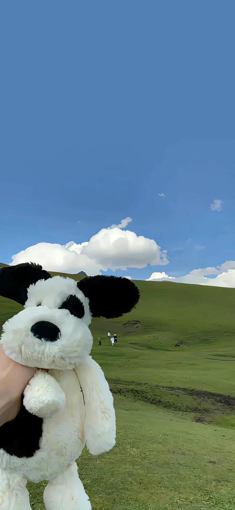 hinh-nen-iphone-14 (15)