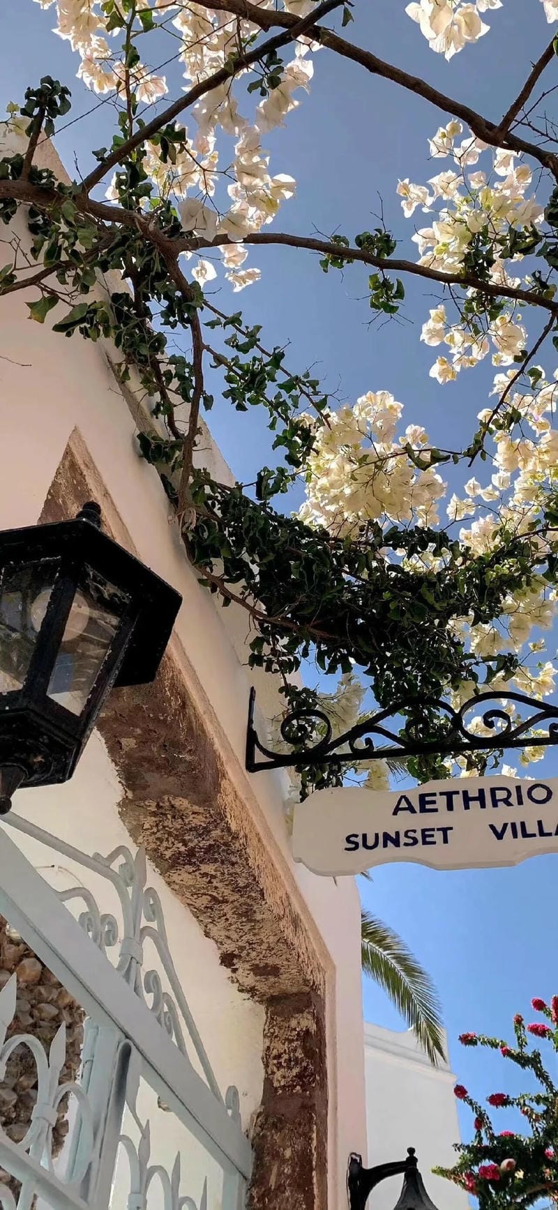 hinh-nen-iphone-14 (33)