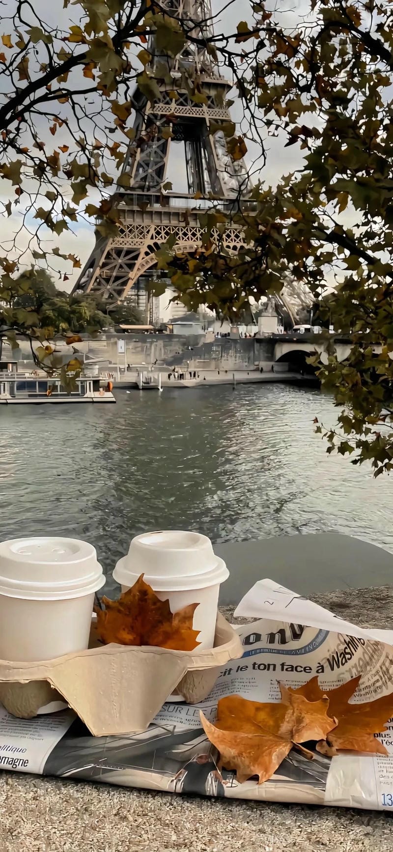 hinh-nen-iphone-14 (34)