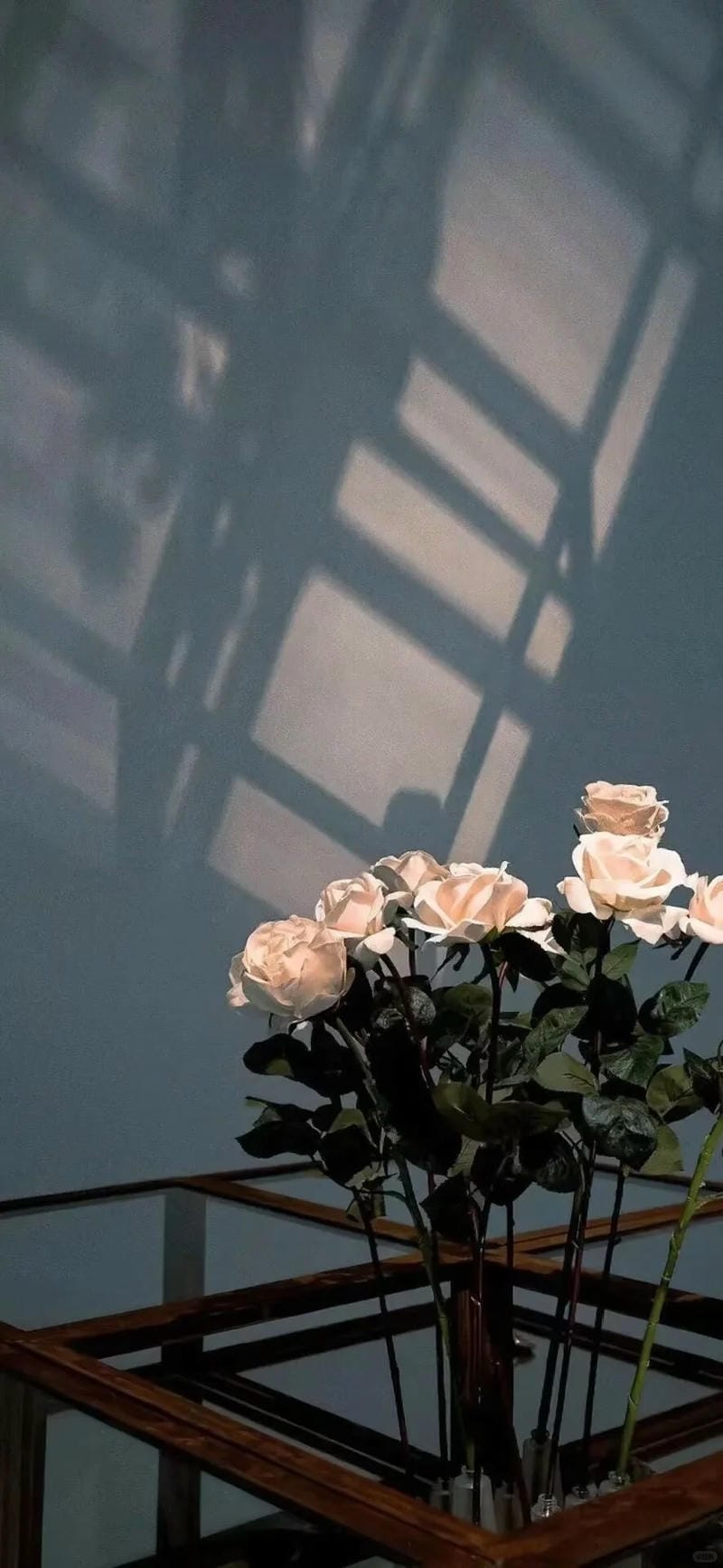 hinh-nen-iphone-14 (38)