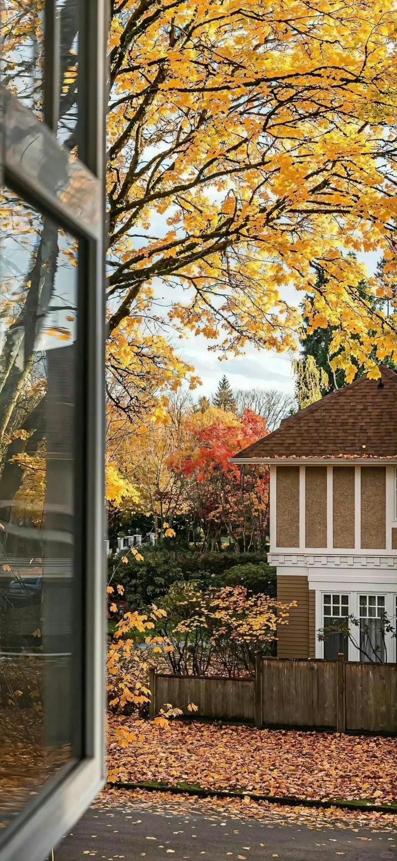 hinh-nen-iphone-14 (4)