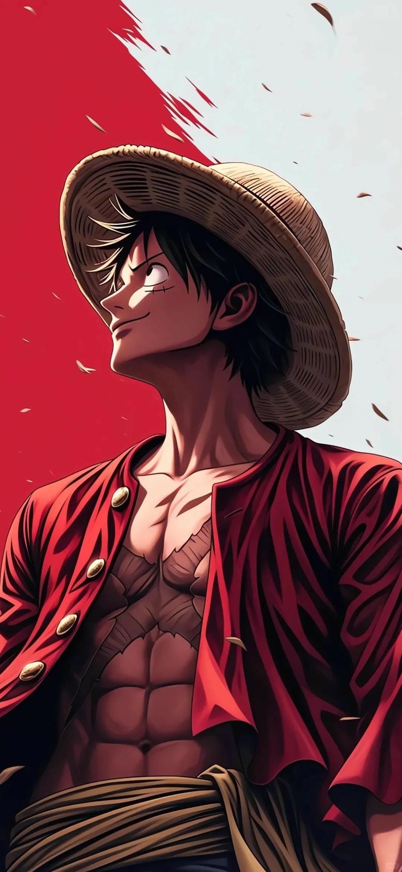 hinh-nen-luffy (28)