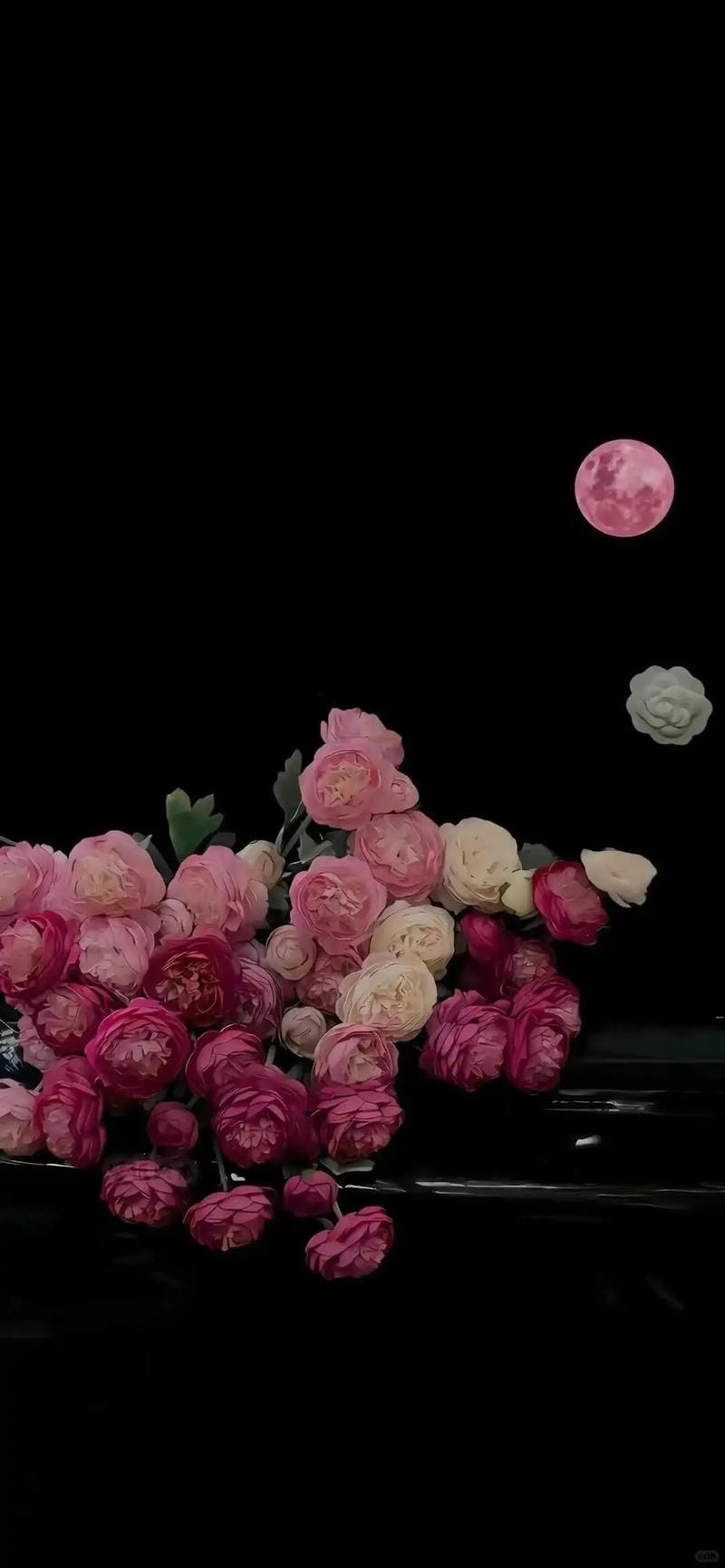 hinh-nen-mau-den (18)