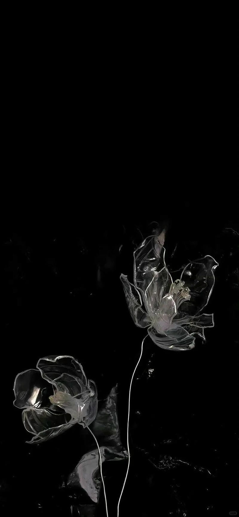 hinh-nen-mau-den (25)