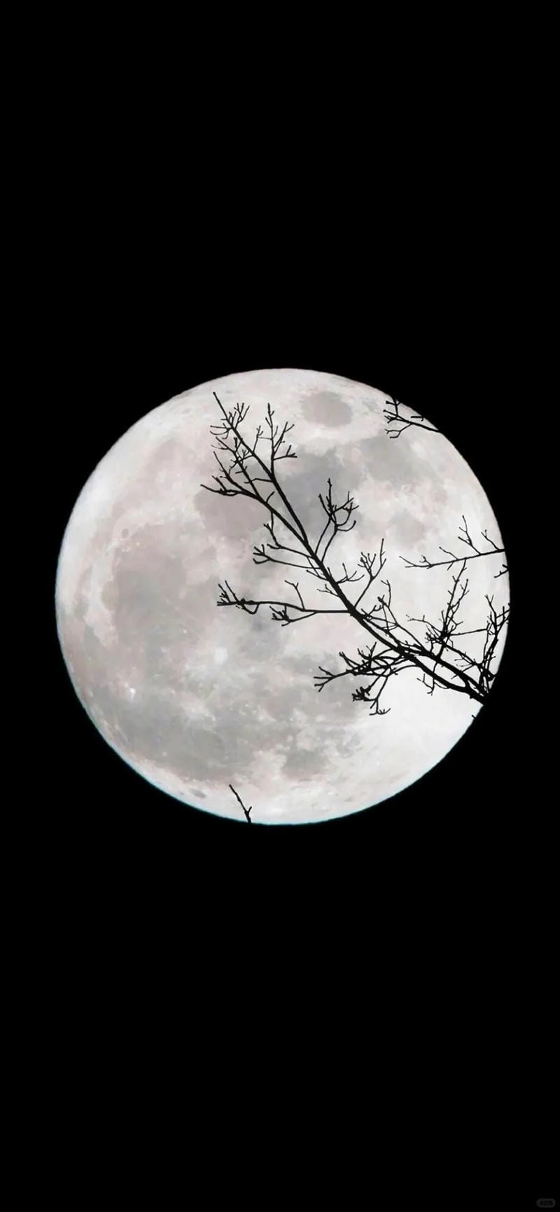 hinh-nen-mau-den (6)