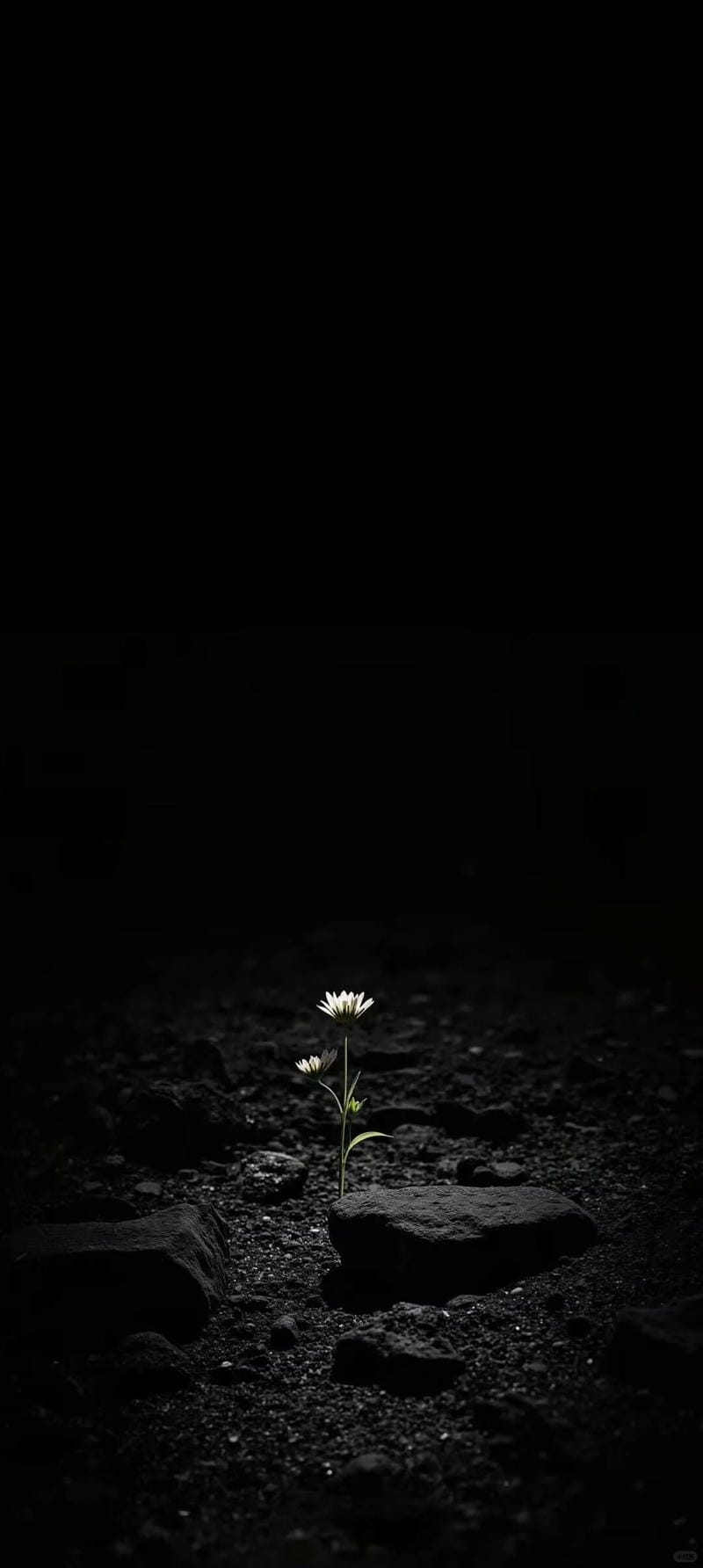 hinh-nen-mau-den (9)