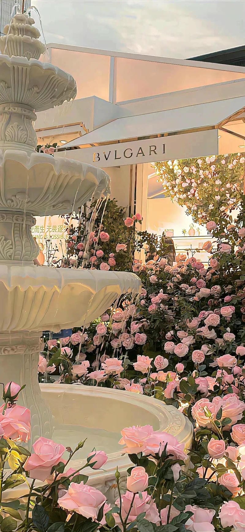 hinh-nen-mau-hong (32)