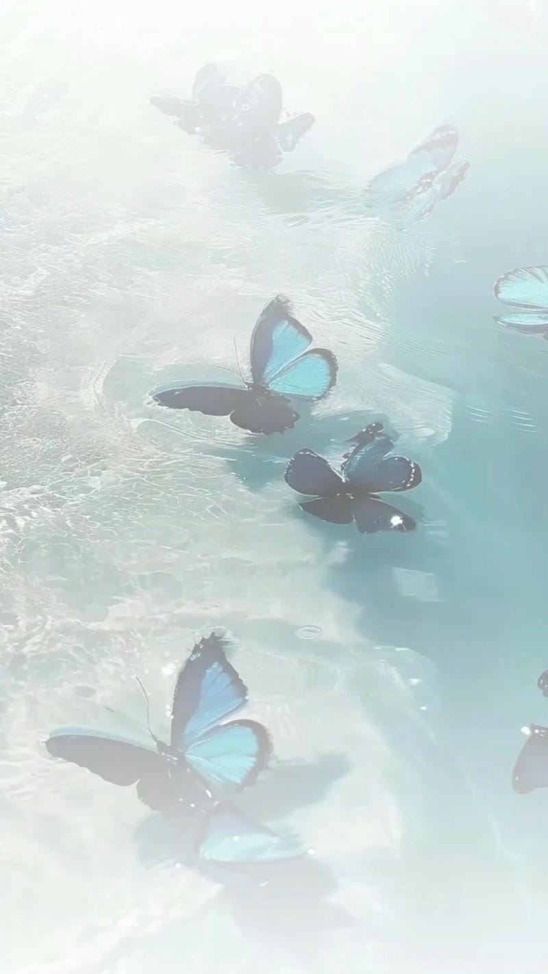 hinh-nen-mau-trang (16)