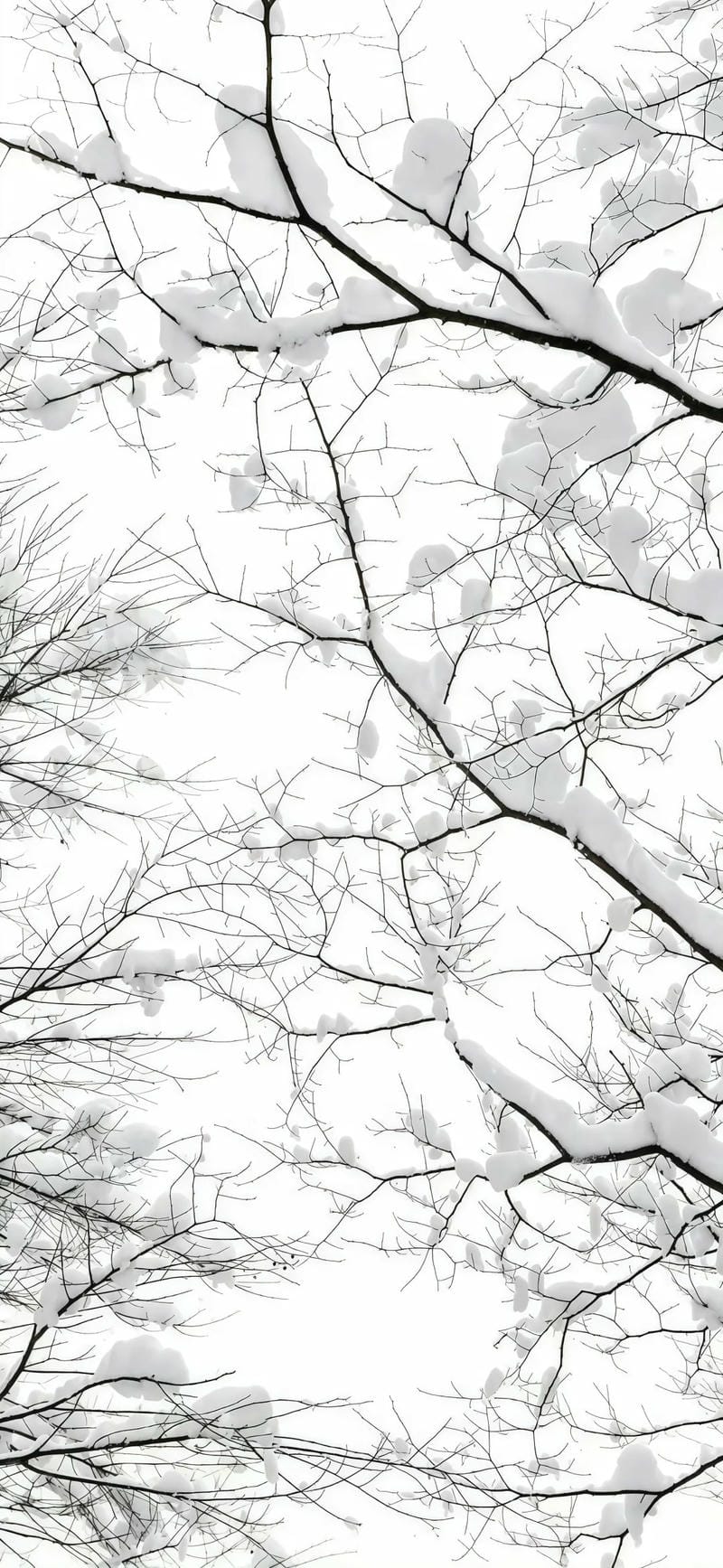 hinh-nen-mau-trang (23)