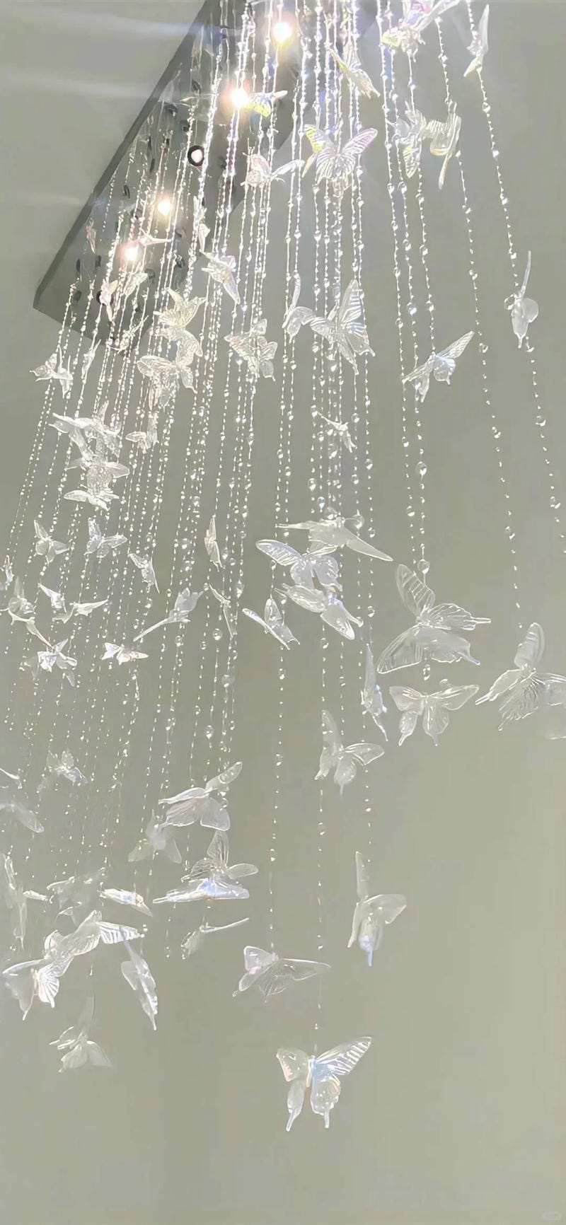 hinh-nen-mau-trang (4)