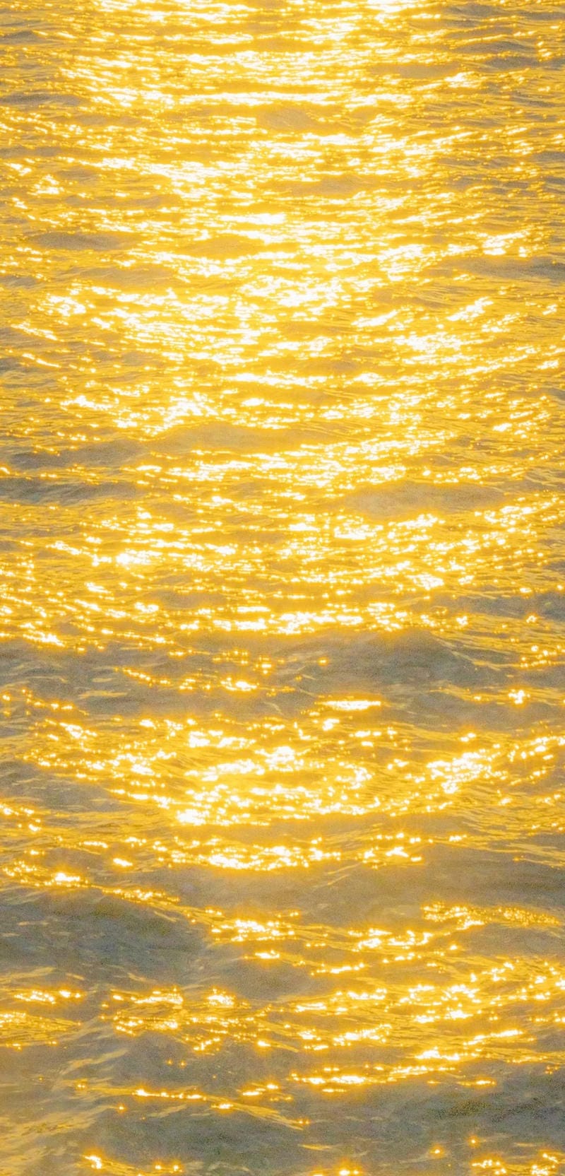 hinh-nen-mau-vang (23)