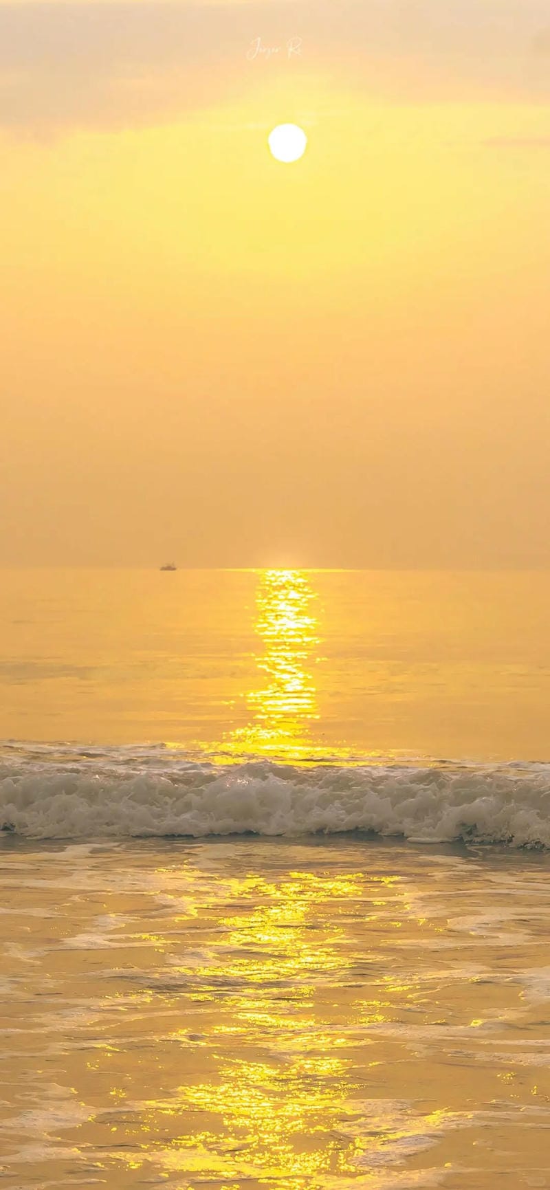 hinh-nen-mau-vang (25)