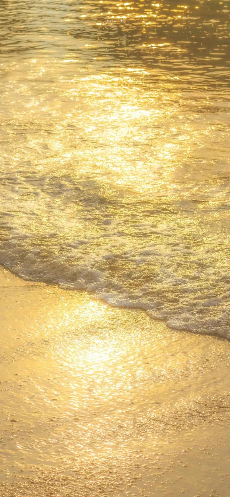 hinh-nen-mau-vang (26)