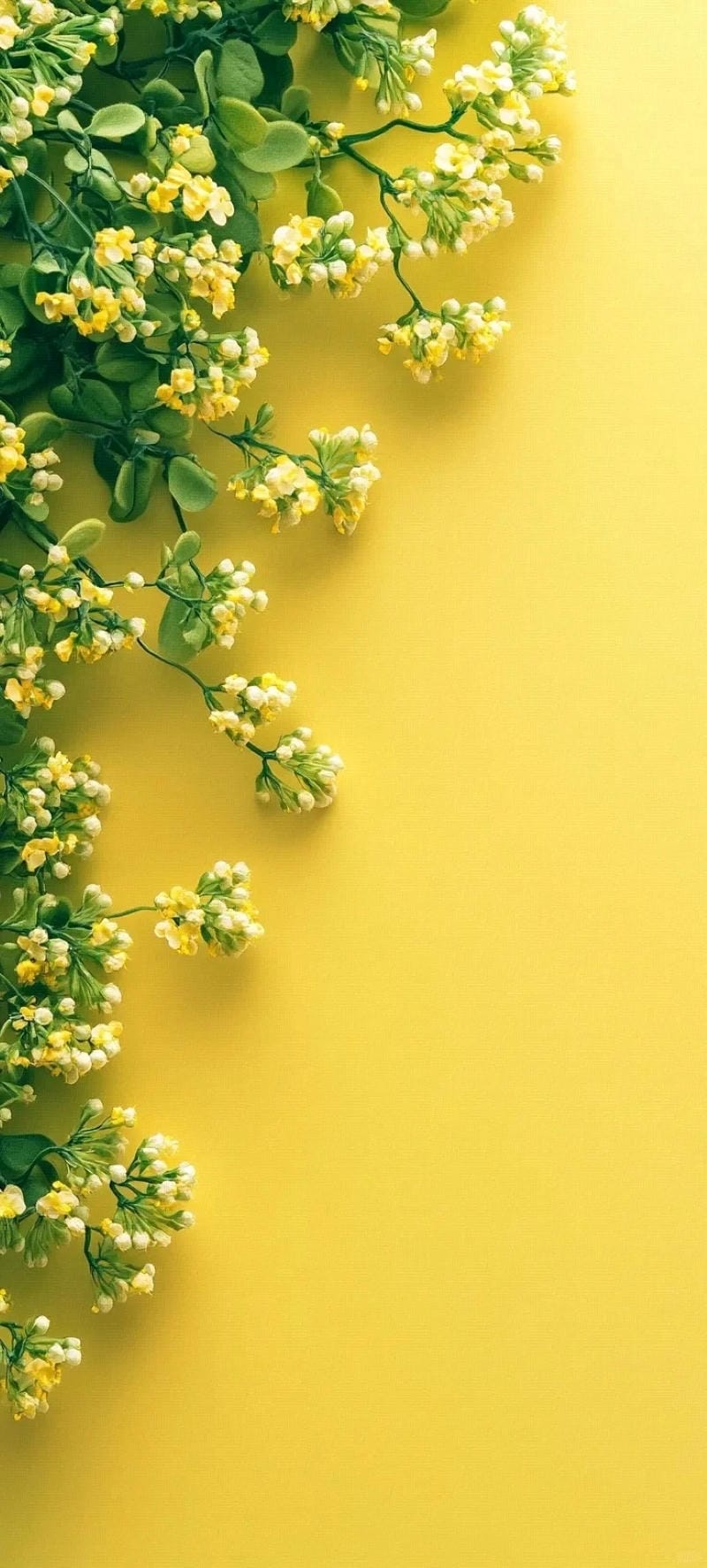 hinh-nen-mau-vang (29)