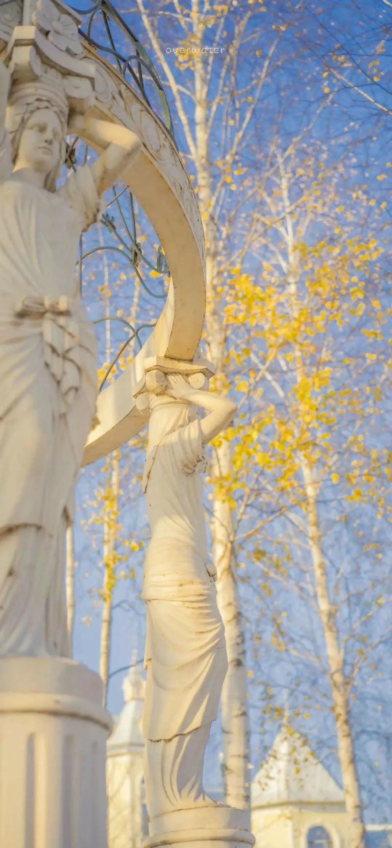 hinh-nen-mau-vang (5)