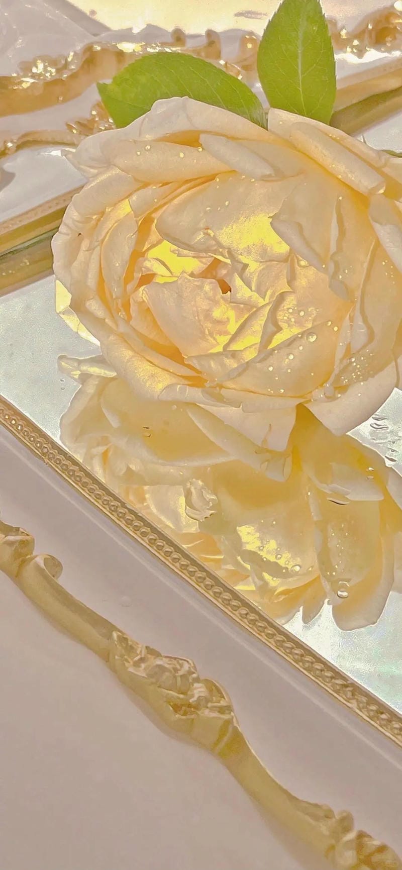 hinh-nen-mau-vang (7)