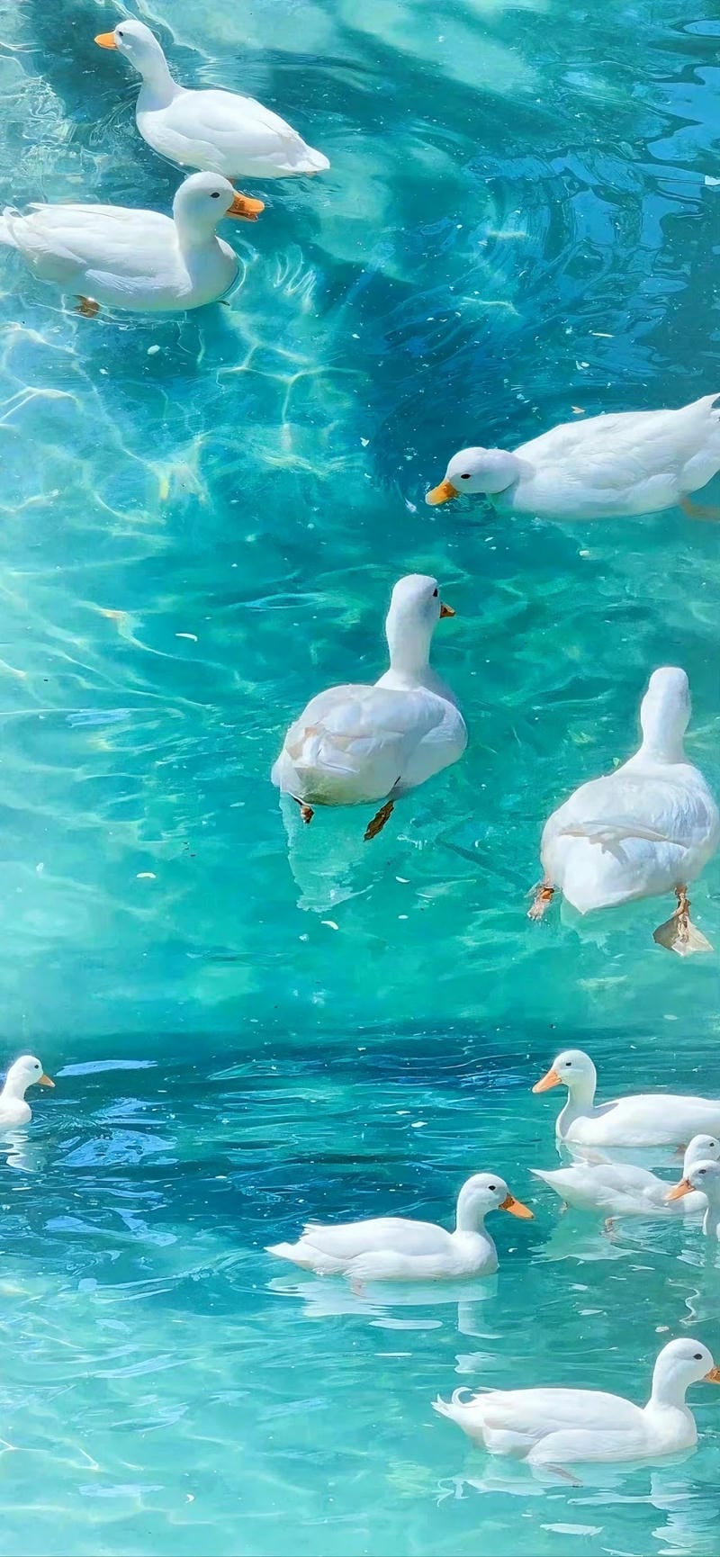 hinh-nen-mau-xanh (12)