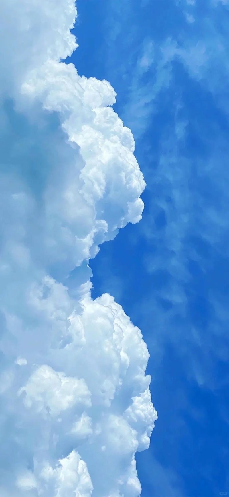 hinh-nen-mau-xanh (22)