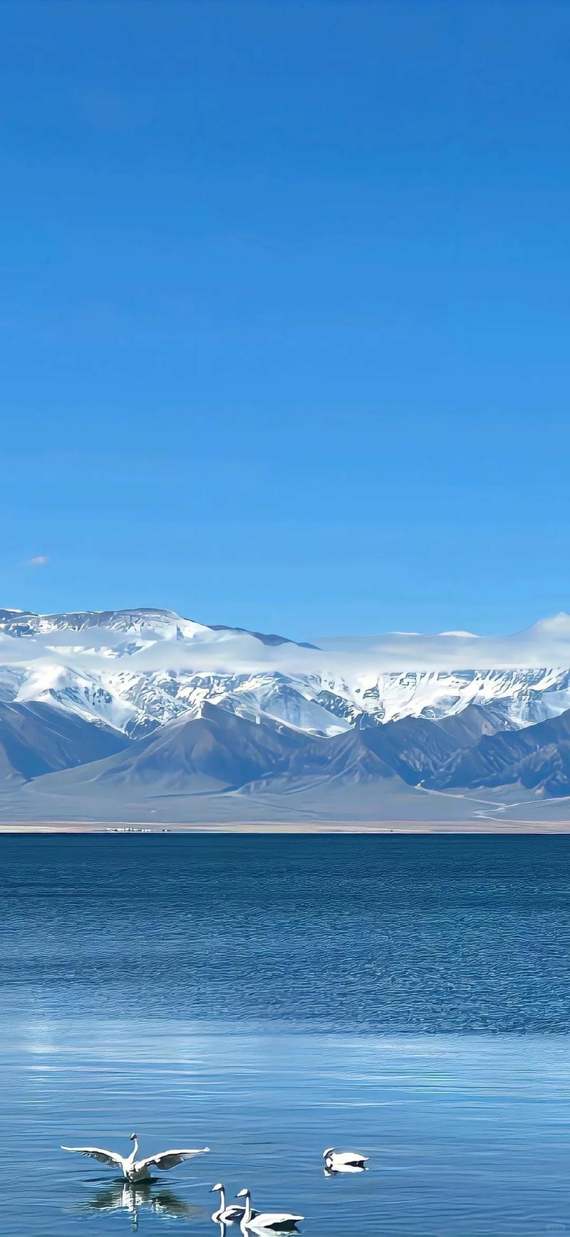 hinh-nen-mau-xanh (26)