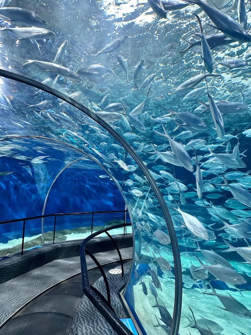 hinh-nen-mau-xanh (36)