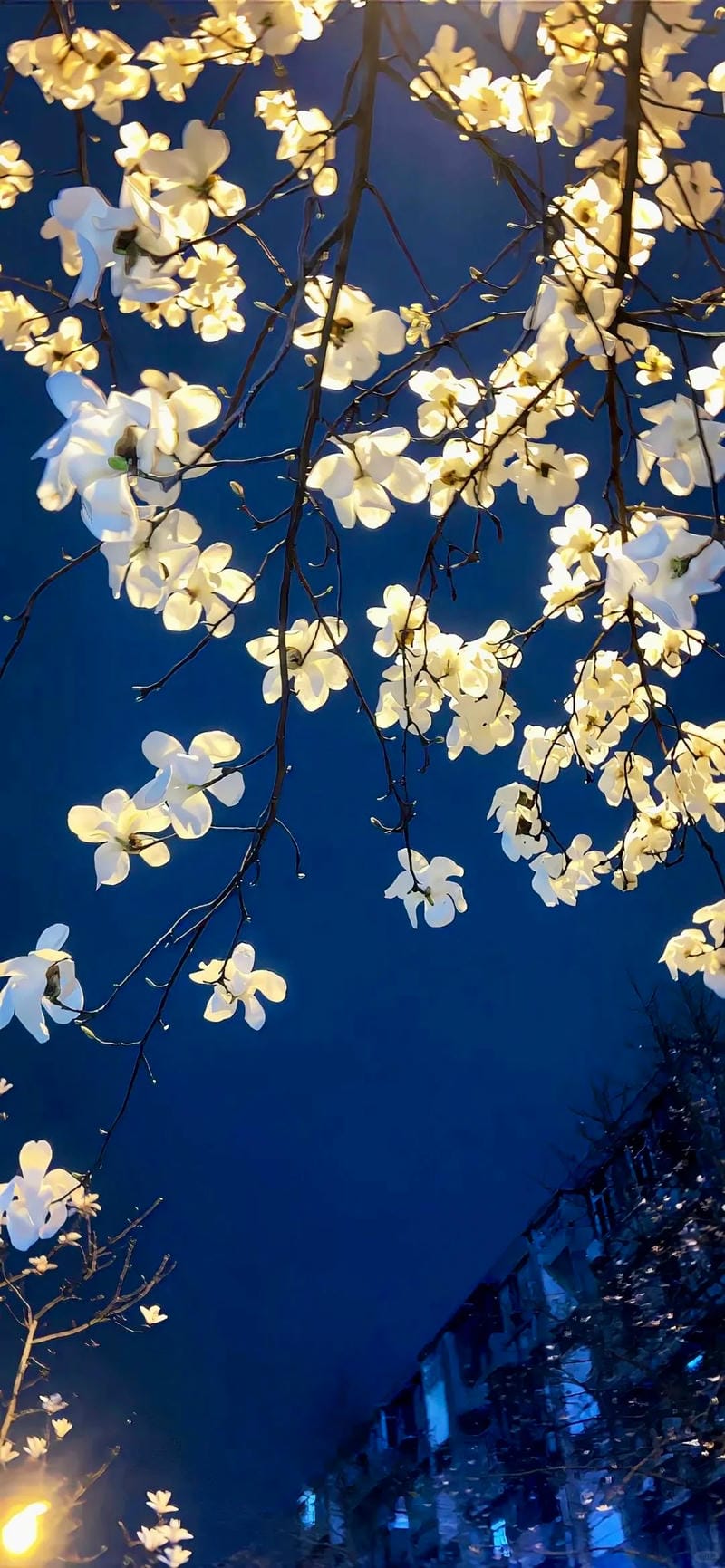 hinh-nen-mau-xanh (38)