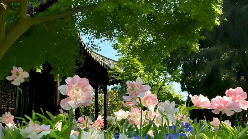 hinh-nen-may-tinh (32)