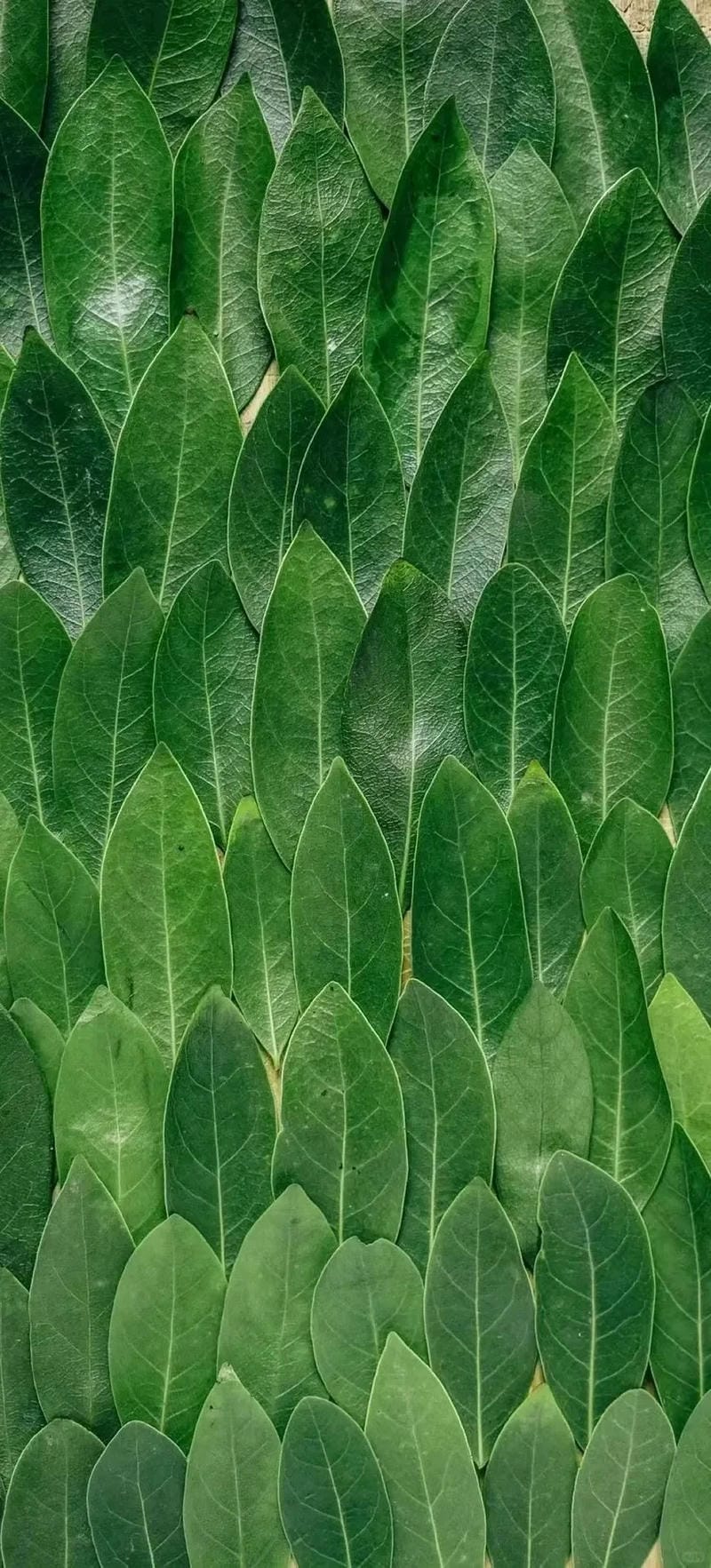 hinh-nen-menh-moc (14)