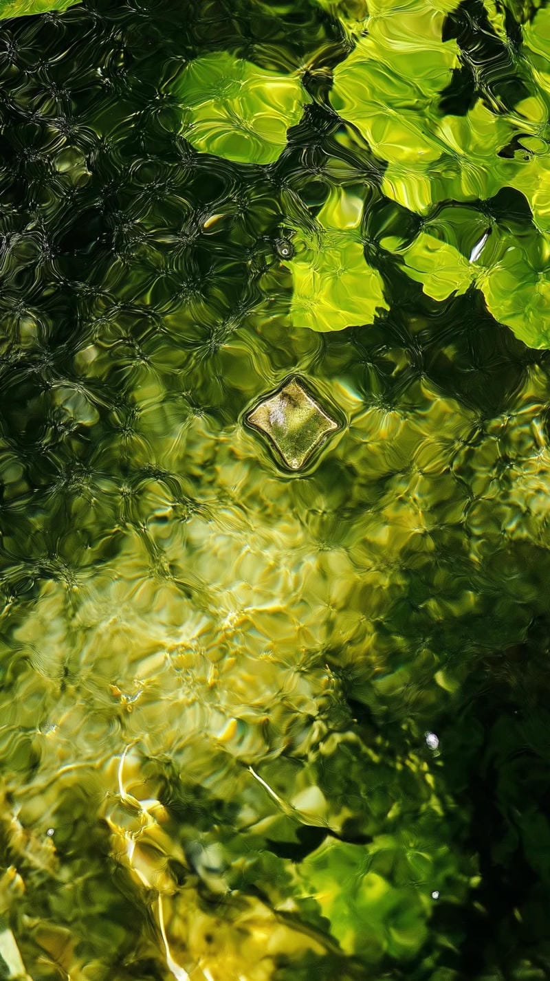 hinh-nen-menh-moc (19)