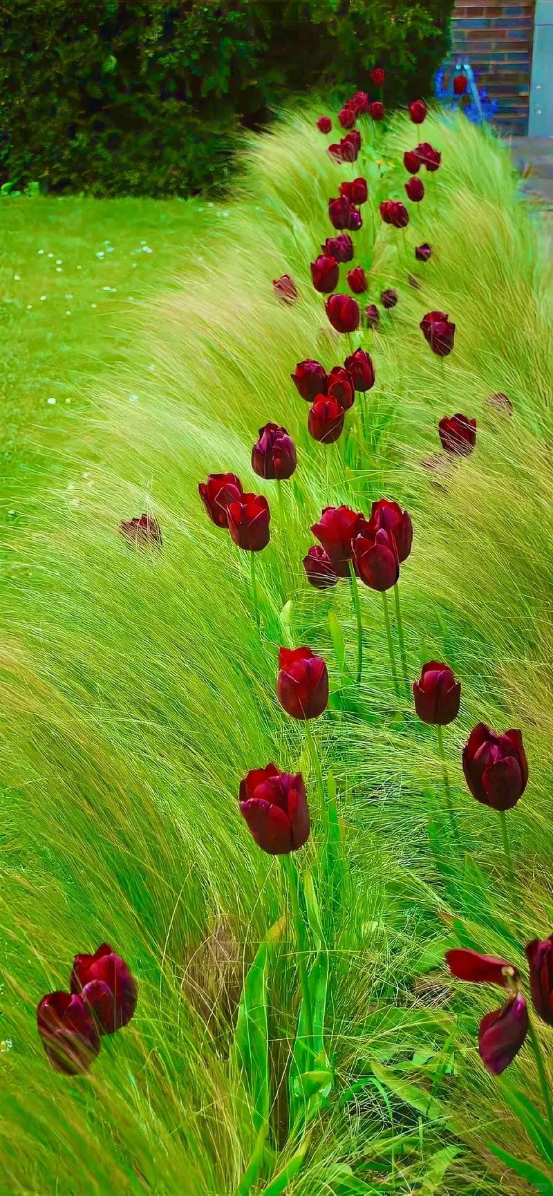 hinh-nen-menh-moc (2)