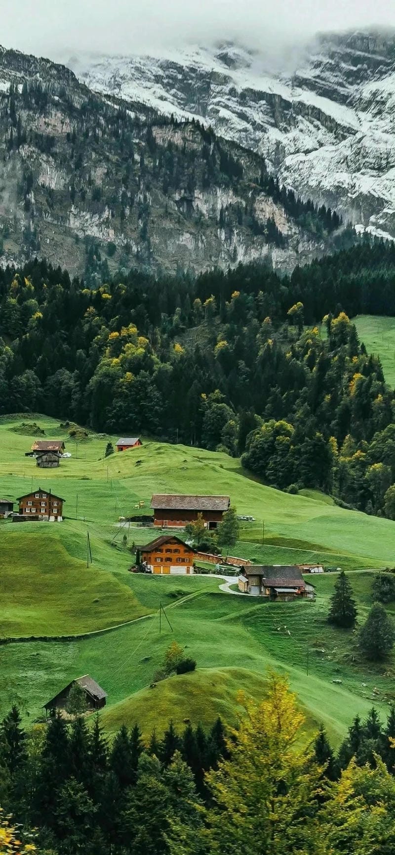 hinh-nen-menh-moc (22)