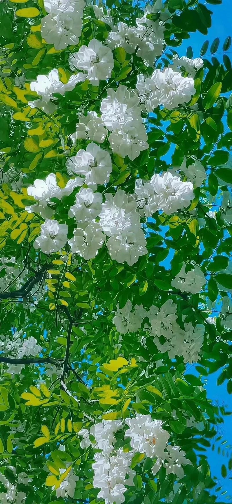 hinh-nen-menh-moc (6)