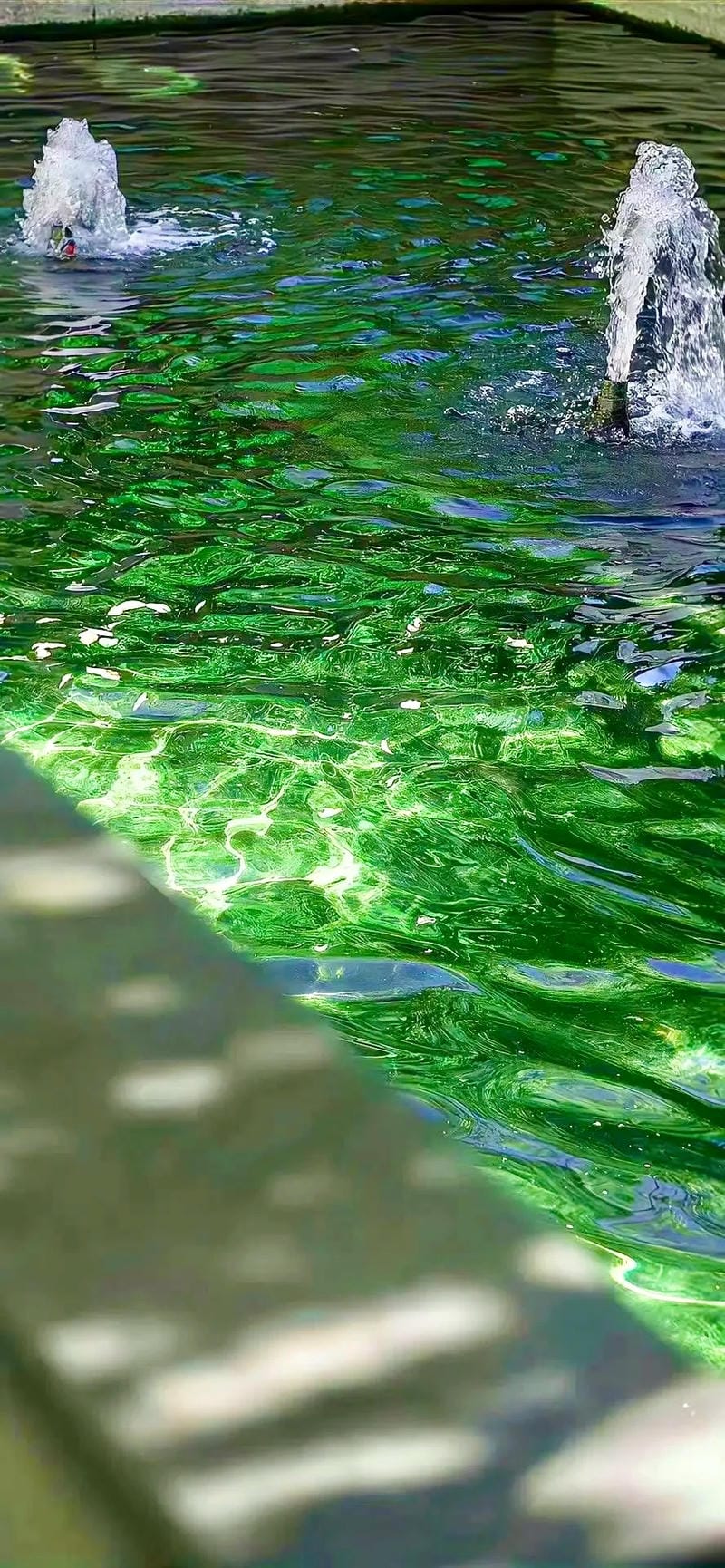 hinh-nen-menh-moc (8)