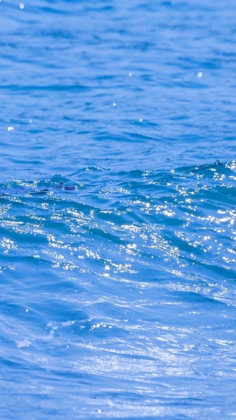 hinh-nen-menh-thuy (5)