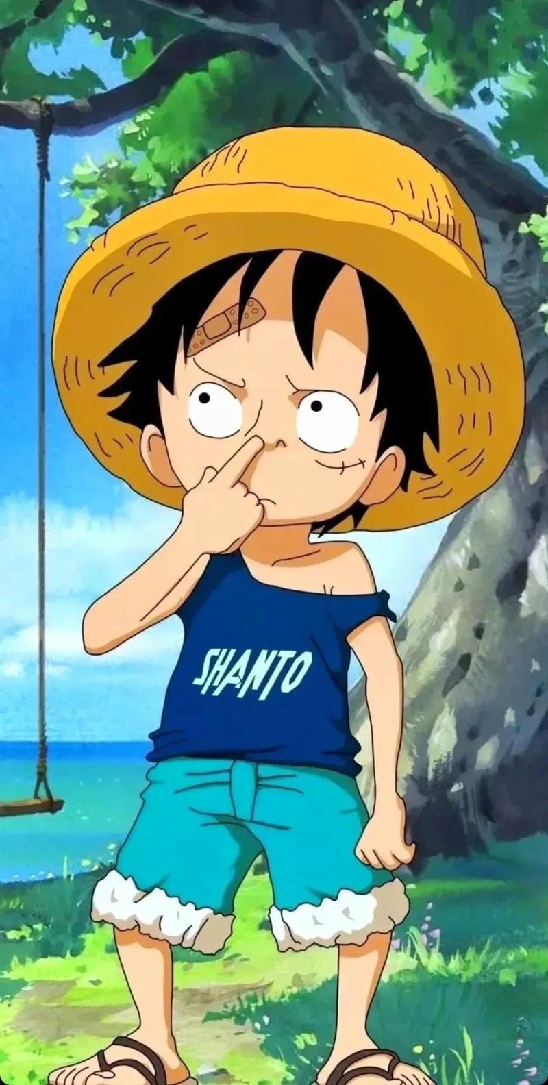 hinh-nen-one-piece (13)