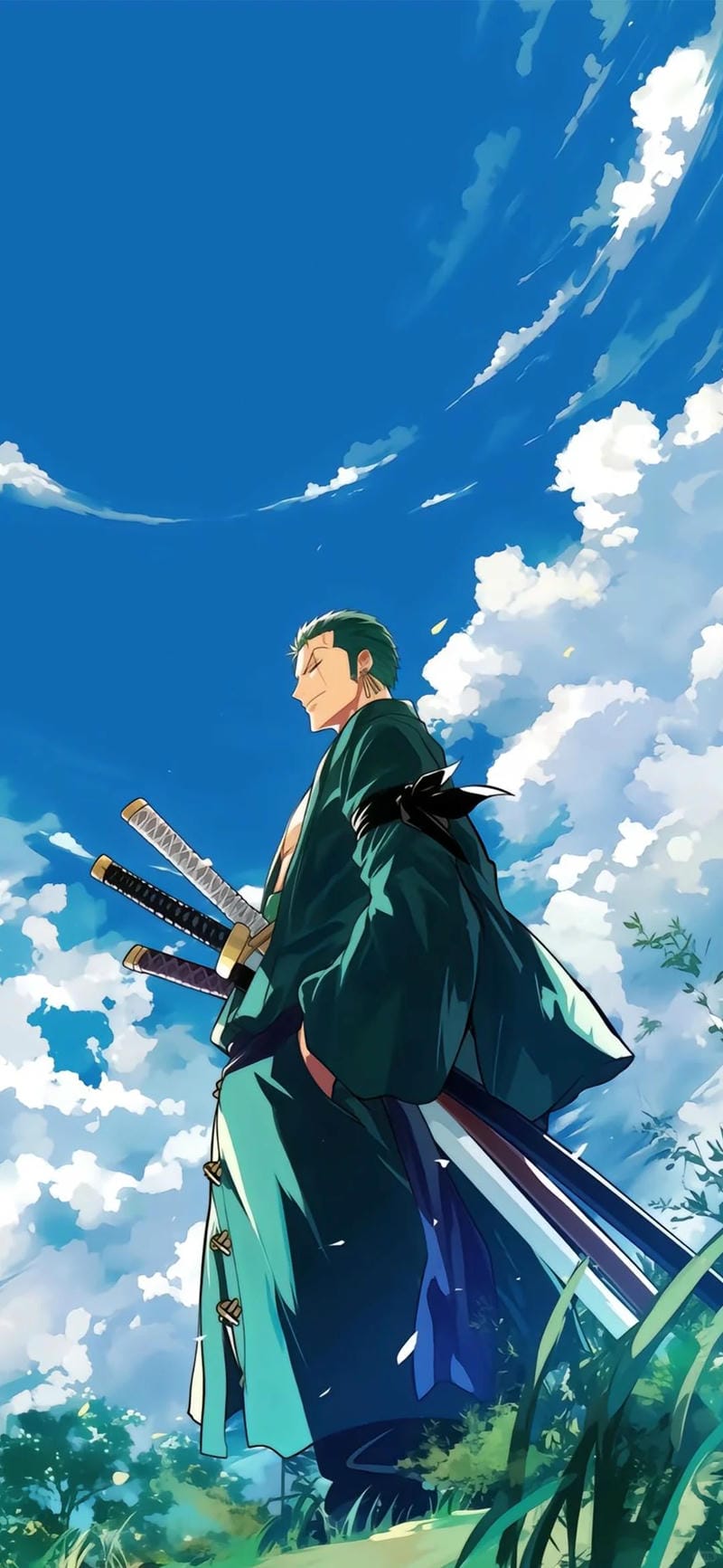 hinh-nen-one-piece (20)