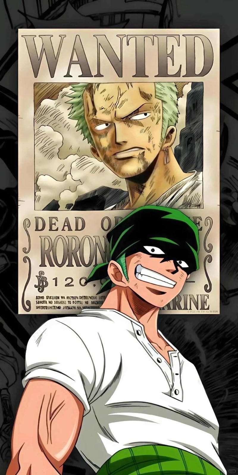 hinh-nen-one-piece (43)