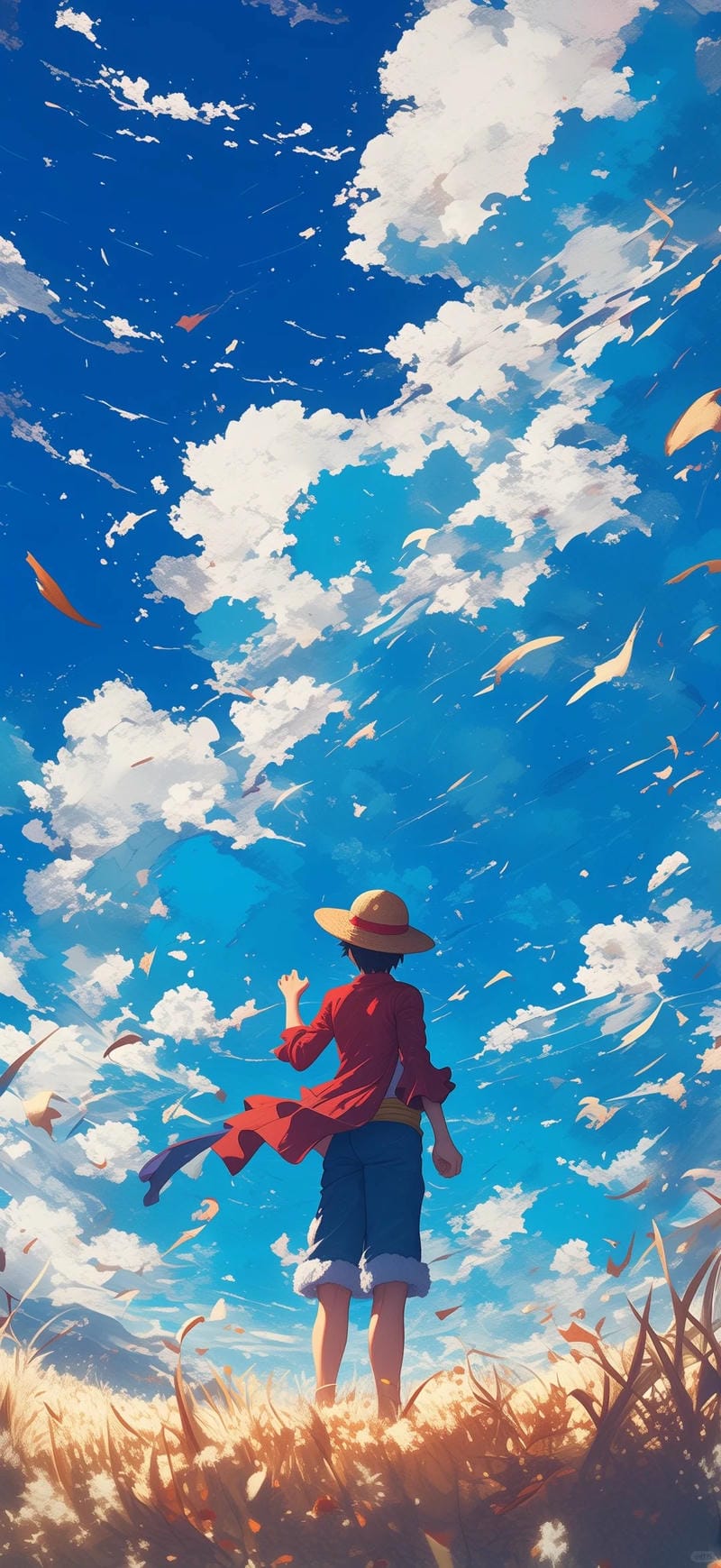 hinh-nen-one-piece (49)