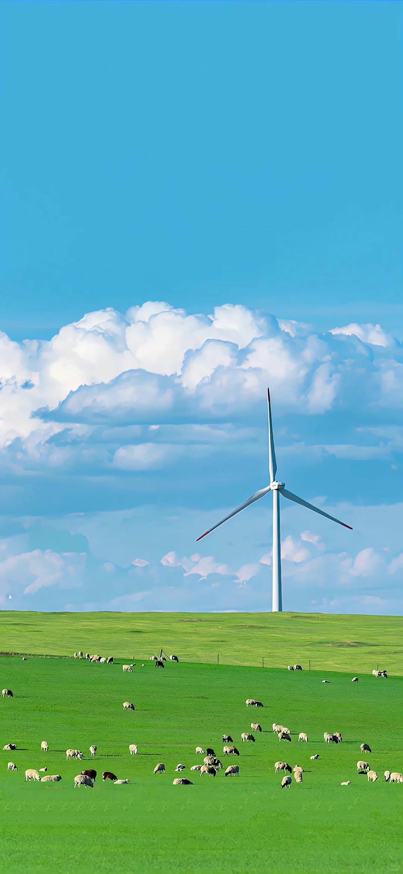 hinh-nen-phong-canh (16)