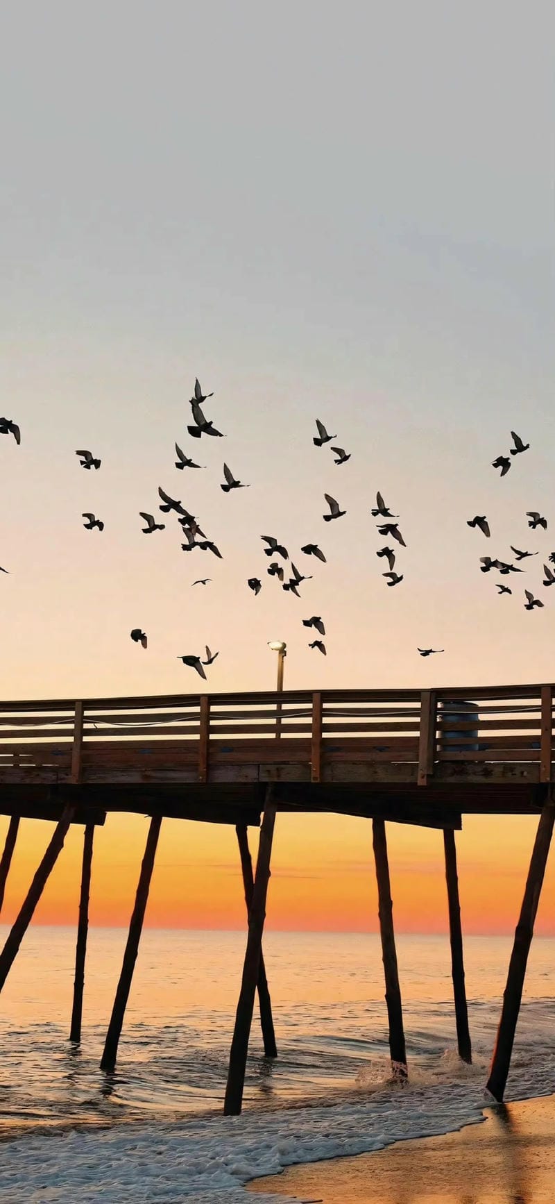 hinh-nen-phong-canh (19)