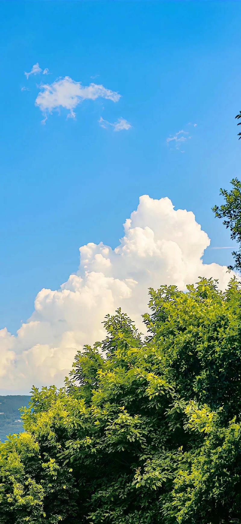 hinh-nen-phong-canh (21)