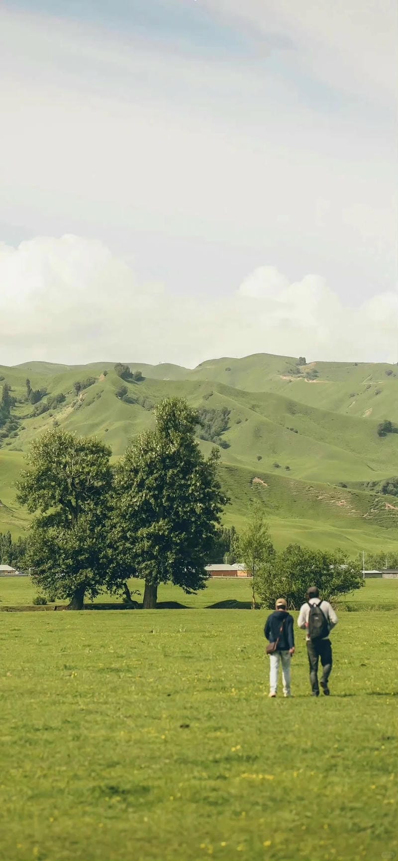 hinh-nen-phong-canh (23)