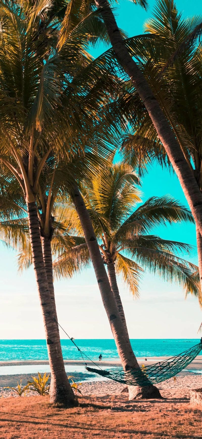 hinh-nen-phong-canh (26)