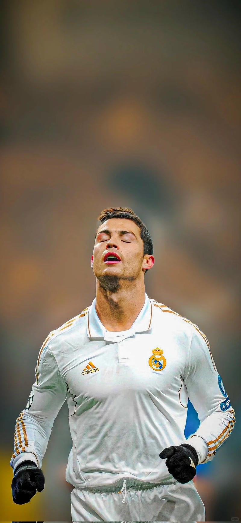 hinh-nen-ronaldo (13)