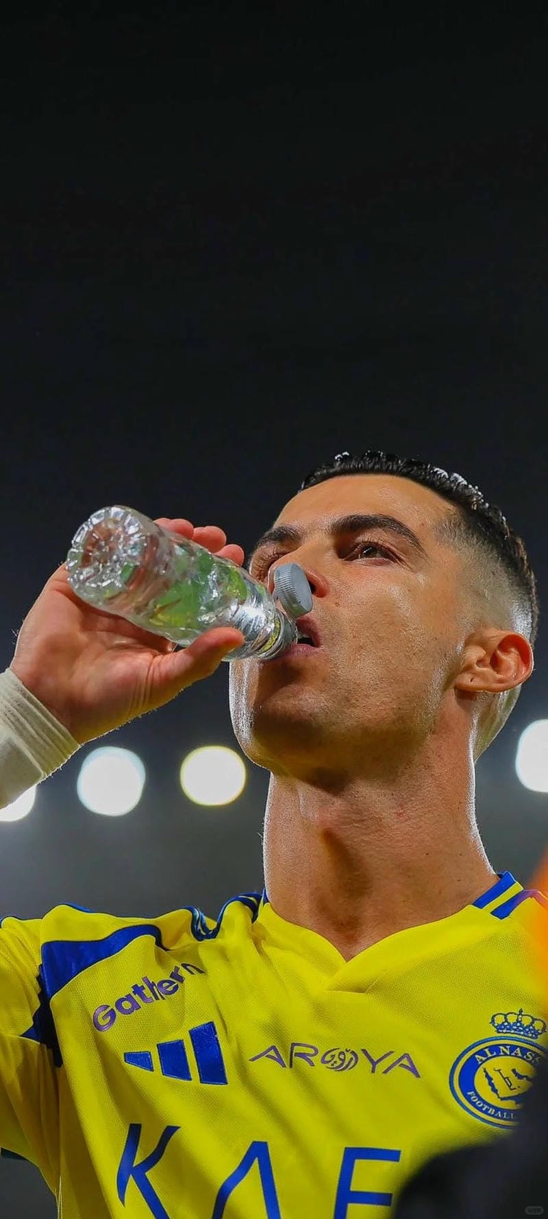 hinh-nen-ronaldo (19)