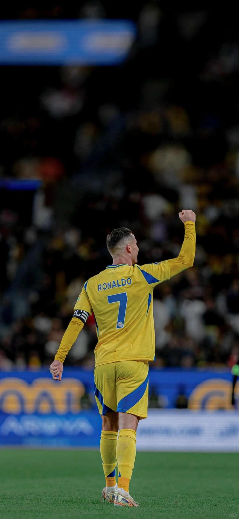 hinh-nen-ronaldo (20)