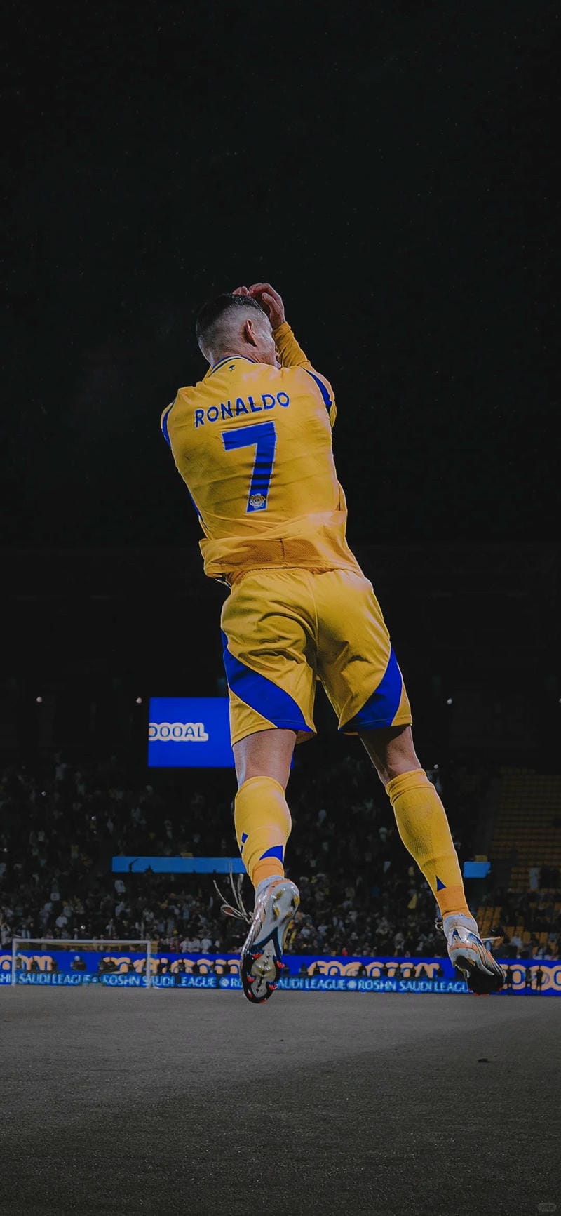 hinh-nen-ronaldo (21)