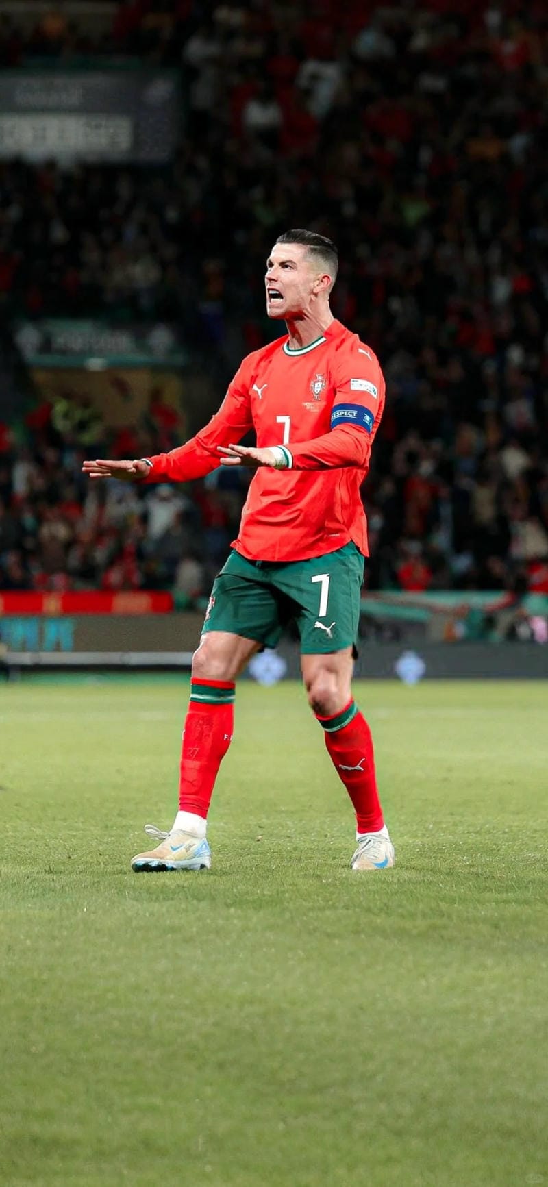 hinh-nen-ronaldo (40)