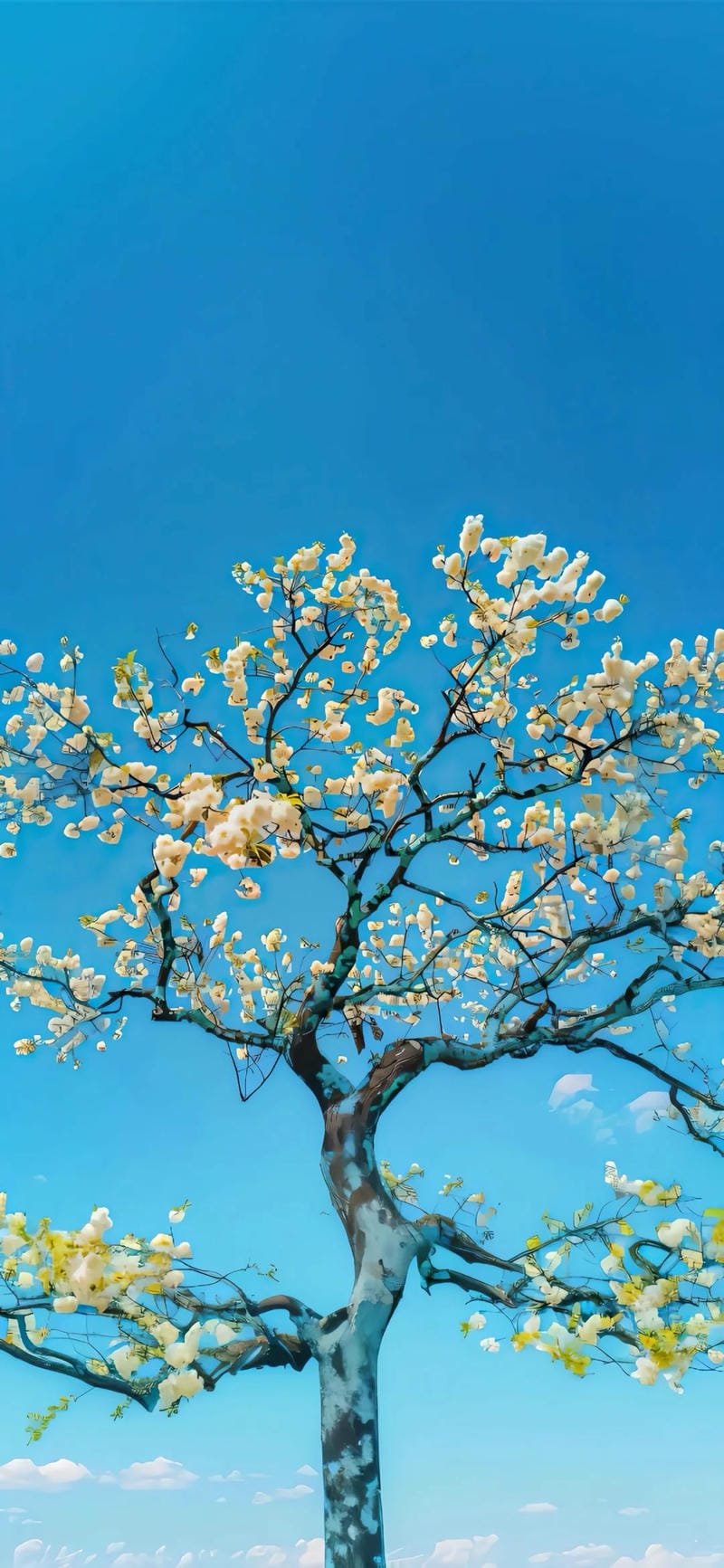 hinh-nen-samsung (1)