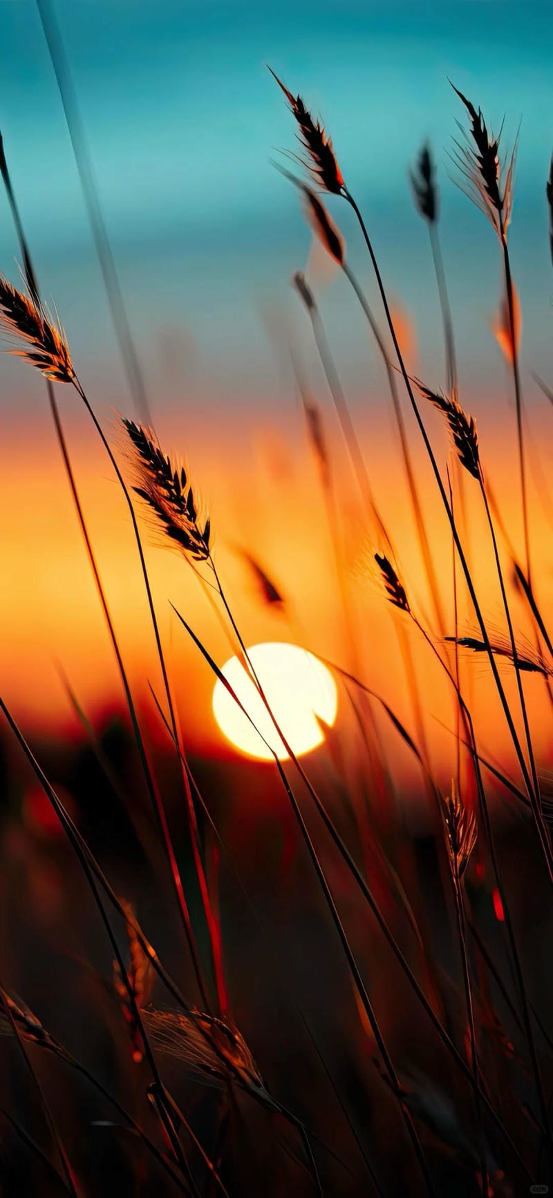 hinh-nen-samsung (3)